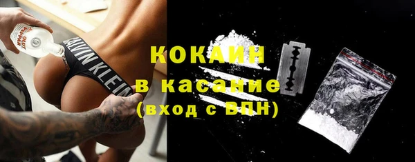 Альфа ПВП Аркадак