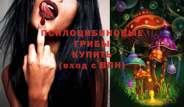 Альфа ПВП Аркадак