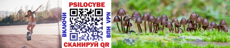 продажа наркотиков  blacksprut ONION  Псилоцибиновые грибы прущие грибы  Прохладный 